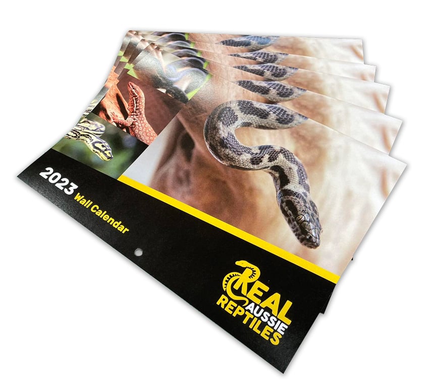 2023 Calendar Printing Real Aussie Reptiles Wall Calendar Pritned By Rogue Print