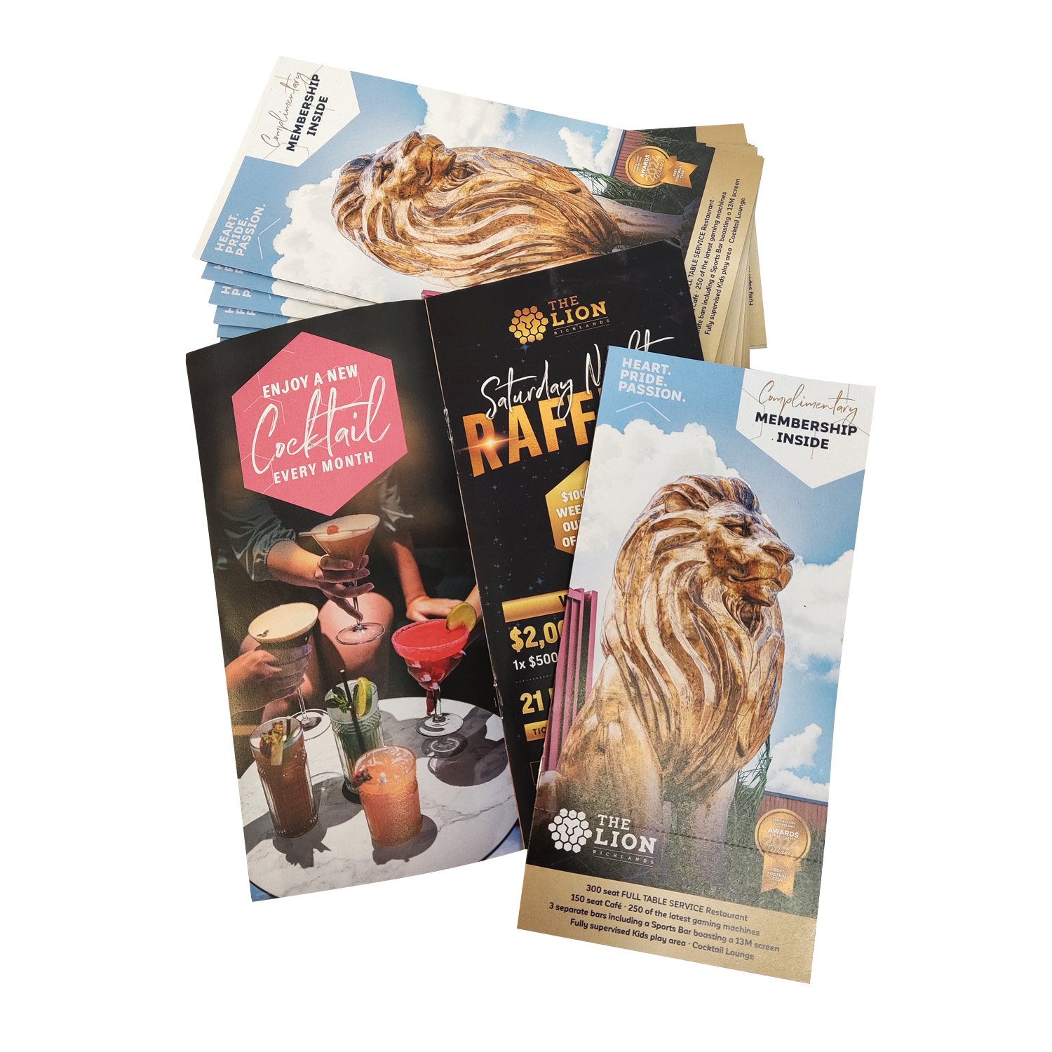 Dl Size Saddle Stitched With Cover Perforation Voucher Brochure Printed By Rogue Print And Mail