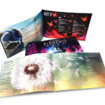 Brochures And Flyer Header Image By Rogue Print And Mail
