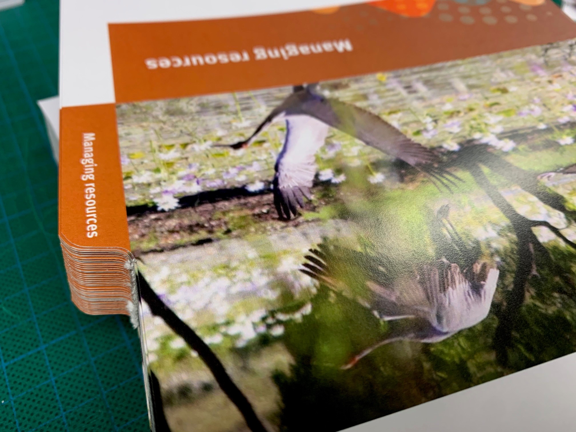 Custom & Branded Tab Dividers for a Professional Edge - Rogue Print and ...